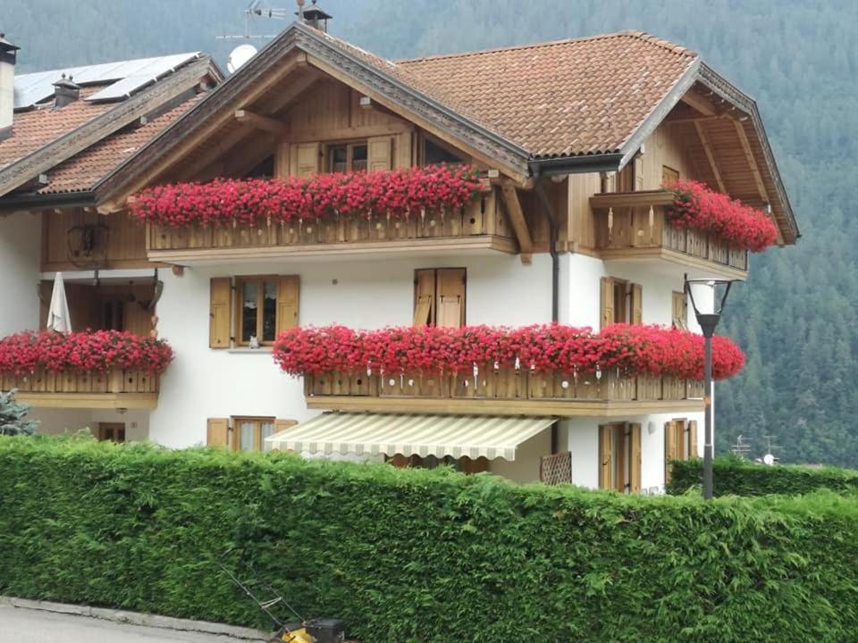 Appartamento Mansarda Patrizia E Franco Val Di Sole Commezzadura Esterno foto