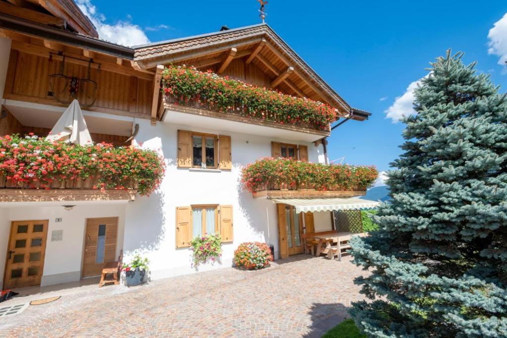 Appartamento Mansarda Patrizia E Franco Val Di Sole Commezzadura Esterno foto