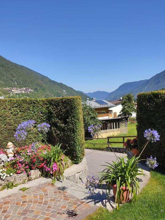 Appartamento Mansarda Patrizia E Franco Val Di Sole Commezzadura Esterno foto